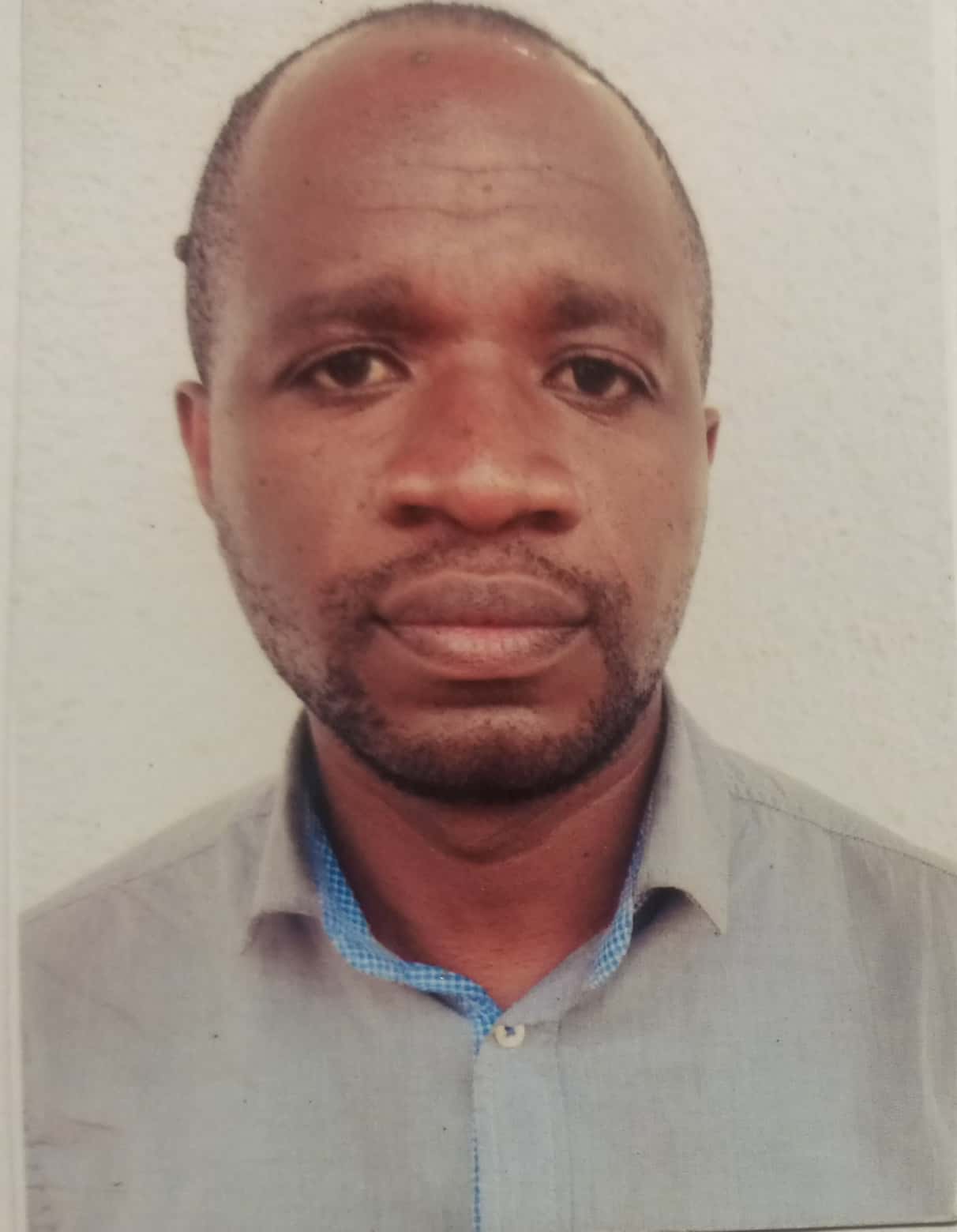 KULIMUSHI BWANAMPONGO